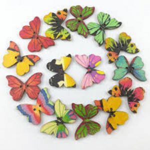 Mixed Butterfly Button