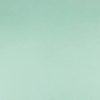 La Carta Cardstock - Powder Green