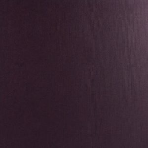 La Carta Cardstock – Purple