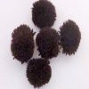 Cafe Brown Yarn Pom Pom