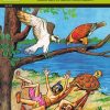 Bird Stories