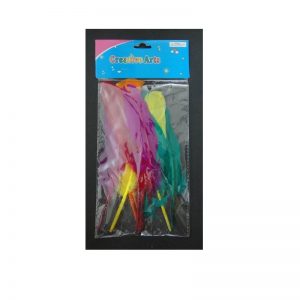 Mixed Colour Stick Feather Pack