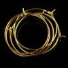 Gold Earring Hoops