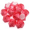 Coral Pink Satin Roses