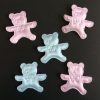 Baby Shower Teddy Bear Appliques