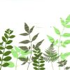 Green Leaves Decoupage Napkin