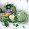 Cabbage Decoupage Napkin