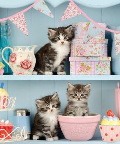 Cats Decoupage Napkin