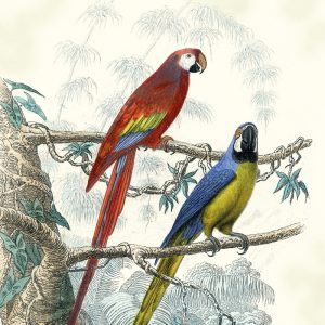Two Parrots Decoupage Napkin