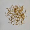Gold Earring Hooks