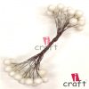White Cherry Pollens