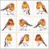 Robin Birds Family Decoupage Napkin