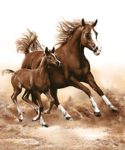 Two Horses Decoupage Napkin