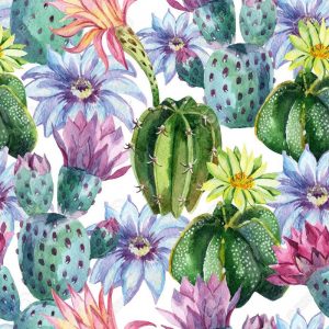 Cactus With Blue And Pink Flowers Decoupage Napkin