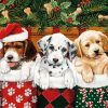 Three Doggies With Cherry Decoupage Napkin