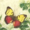 Butterfly With Green Leaf Decoupage Napkin