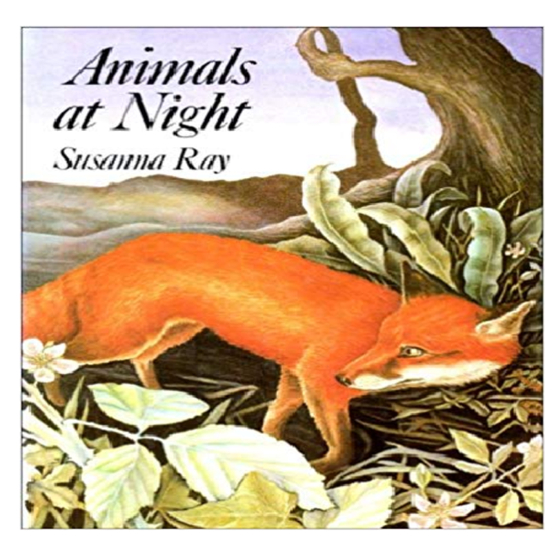 Animals at Night by Susanna Ray