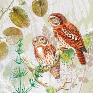 Two Owls On Branch Decoupage Napkin