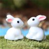 Miniature Rabbits