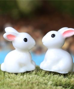 Miniature Rabbits