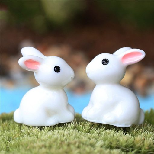 Miniature Rabbits
