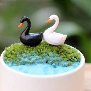 Miniature Swans