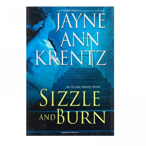 Sizzle And Burn by Jayne Ann Krentz