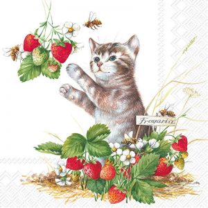 Cat With Strawberries Decoupage Napkin