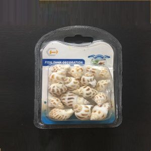 Natural Sea Shells
