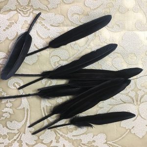 Black Tall Feathers