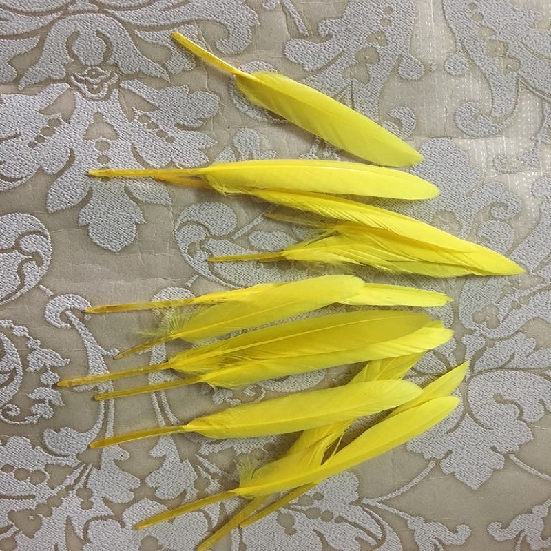 Yellow Tall Feathers