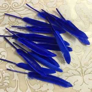 Royal Blue Tall Feathers