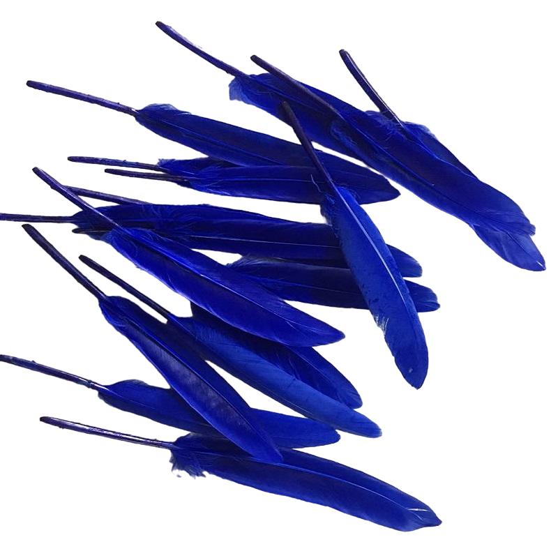 Royal Blue Tall Feathers