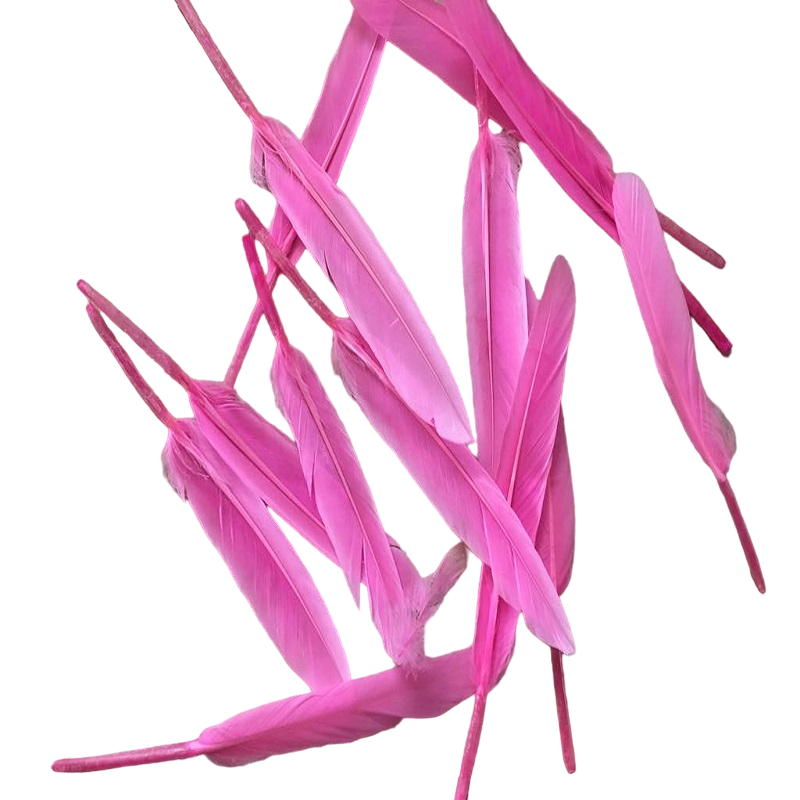 Pink Tall Feathers