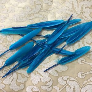 Blue Tall Feathers