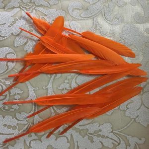 Orange Tall Feathers