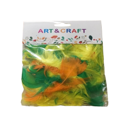 Pack of Mixed Size And Color Feathers