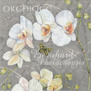 White Orchids In Grey Background Decoupage Napkin
