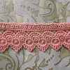 Embroidered Light Peach Lace