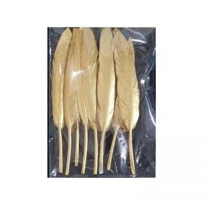 Gold Coated Stick Feather Pack