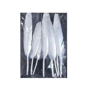 Silver Coated Stick Feather Pack