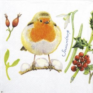 Robin Bird With Cherries Decoupage Napkin
