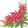 Poinsettia In White Background Decoupage Napkin