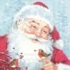 Santa With Robin Decoupage Napkin