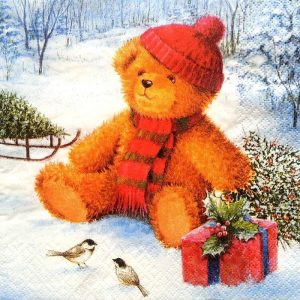 Teddy And Birds With Gift Decoupage Napkin