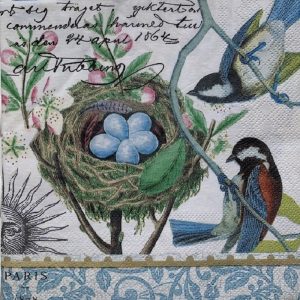 Birds Nest Decoupage Napkin