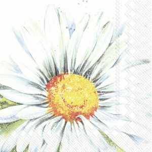White Flower In White Background Decoupage Napkin