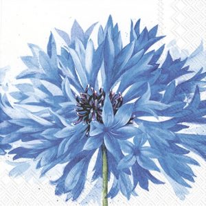 Blue Flower In White Background Decoupage Napkin
