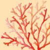 Coral Decoupage Napkin