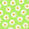 White Daisies In Green Background Decoupage Napkin